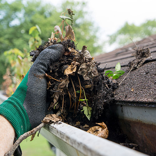 Gutter Cleaning & Brightening Box