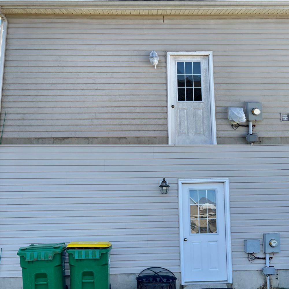 House cleaning magnolia de 001 min
